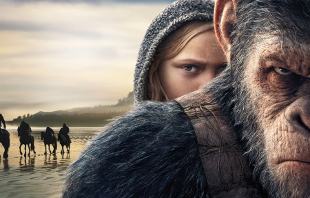 2025年度必看十大电影盘点